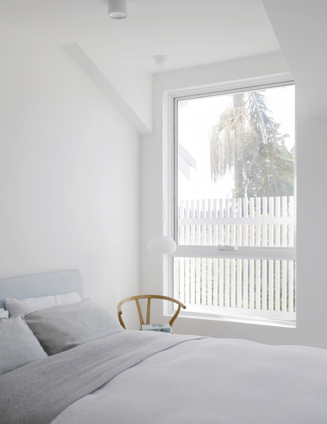 randwick-bungalow-maximising-light PGR Projects Randwick Bungalow renovation light filled